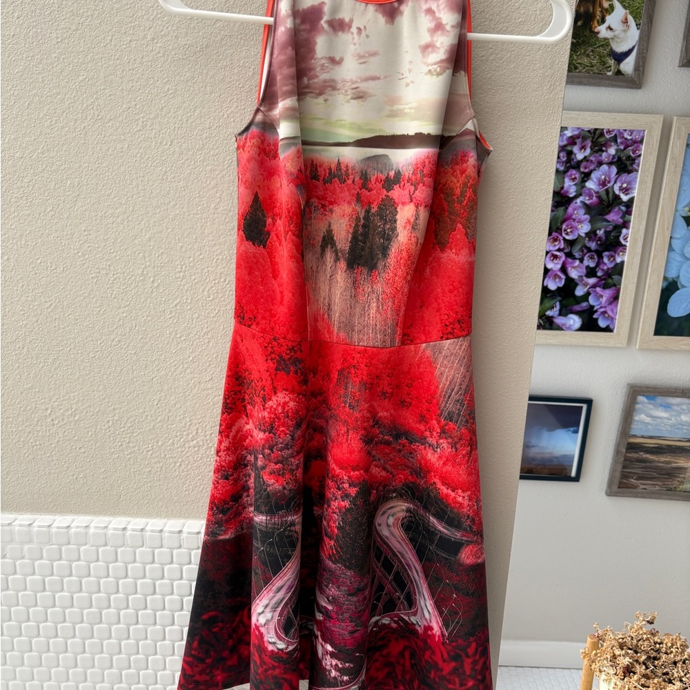 LAST CHANCE: Ted Baker Road to Nowhere Fit and Flare Dress